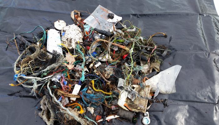 20180818_Alonnah Marine Debris Clean-up Ruth Osborne (23)